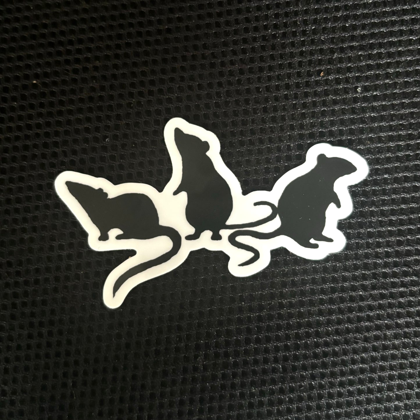 3 Little Rats Vinyl Sticker